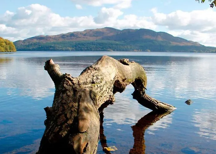 Dom wakacyjny Hazelwood